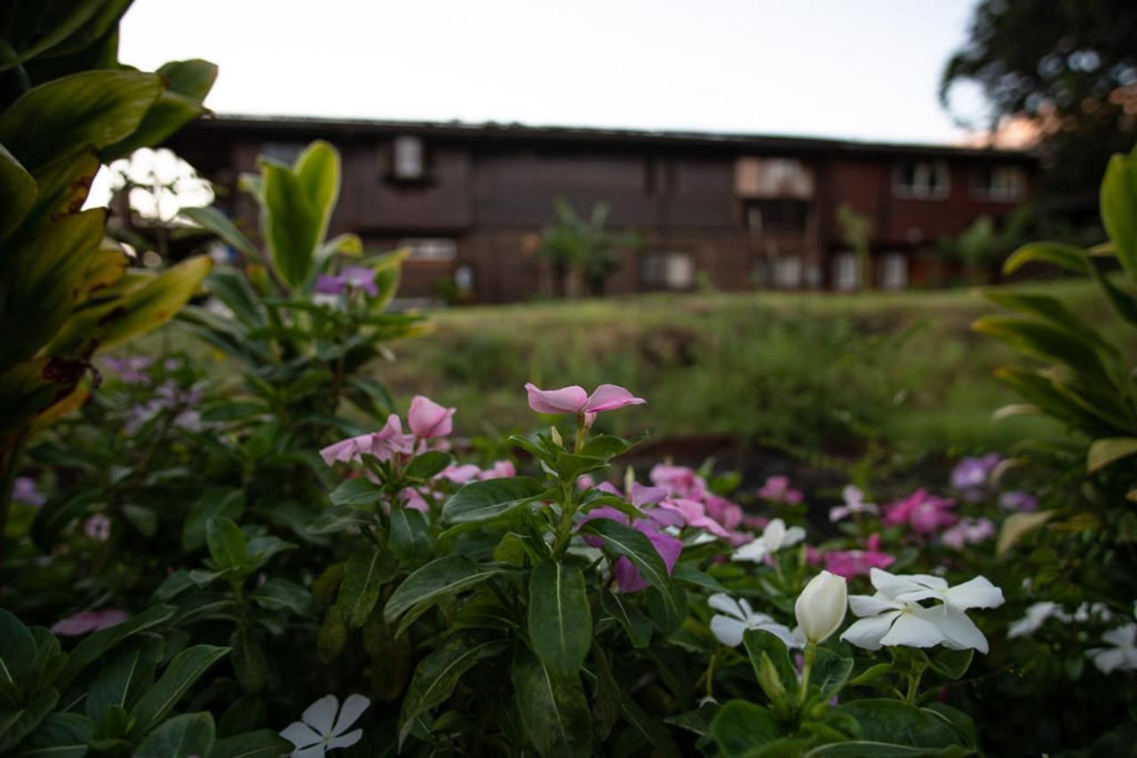 God's Peace Of Maui Bed & Breakfast