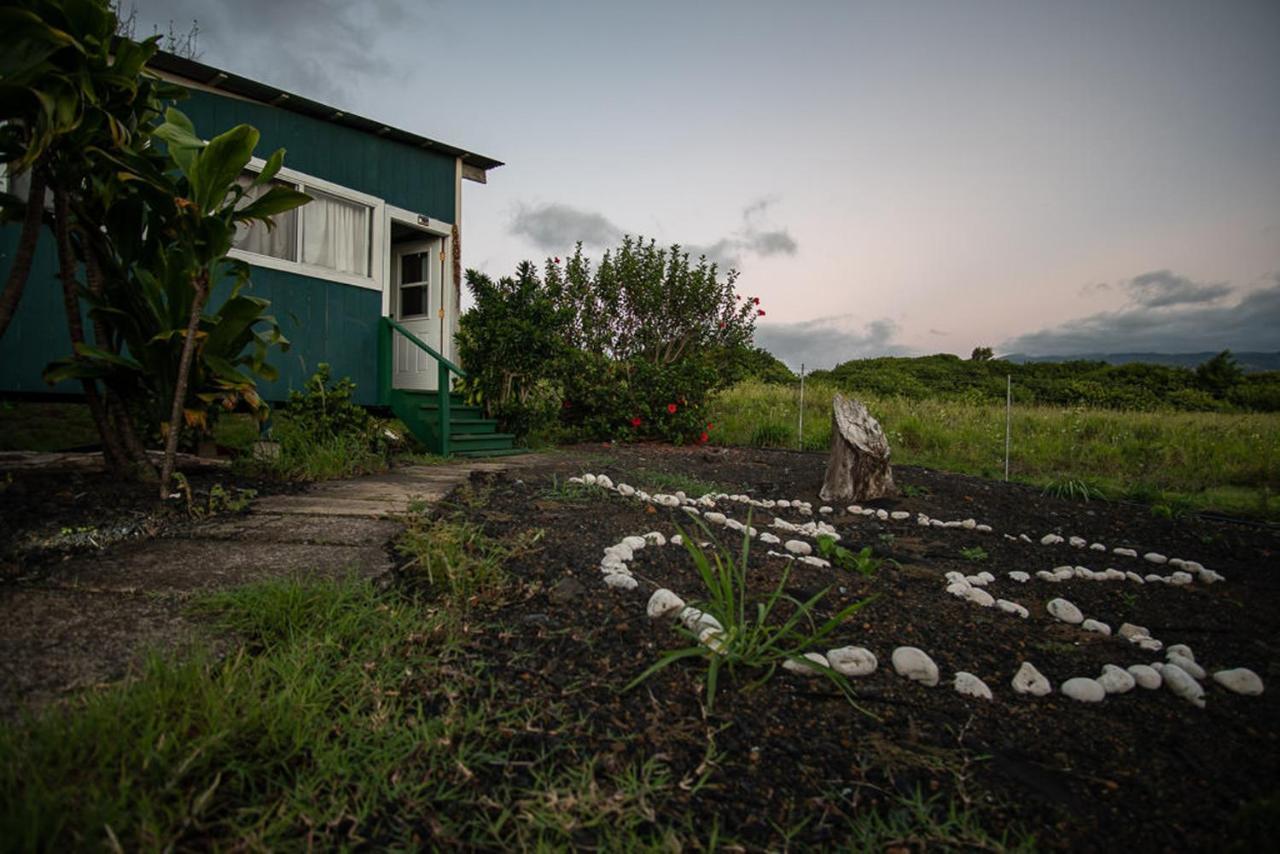 Bed & Breakfast God's Peace Of Maui Makawao